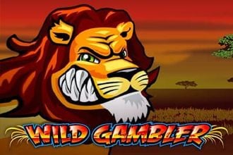 Wild Gambler
